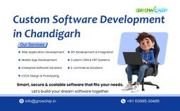 Custom Software Development Services in Chandigarh
