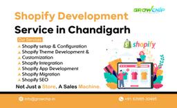 Shopify Development Services in Chandigarh