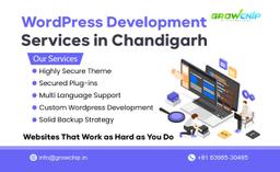 Wordpress Development Services in Chandigarh
