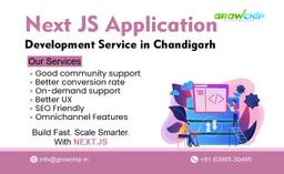 Next.js Web Application Development Services in Chandigarh