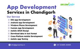 App Development Services in Chandigarh 
